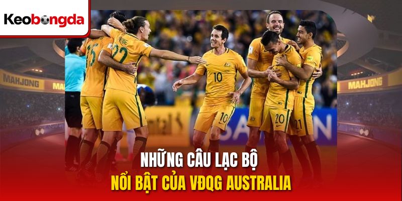 Những câu lạc bộ nổi bật của VĐQG Australia
