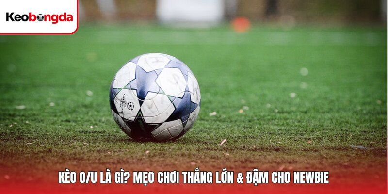 Kèo O/U Là Gì? Mẹo Chơi Thắng Lớn & Đậm Cho Newbie