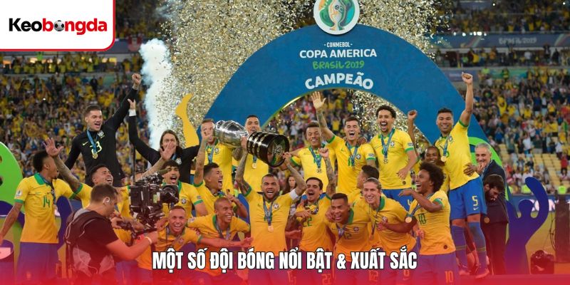 Một số đội bóng nổi bật & xuất sắc